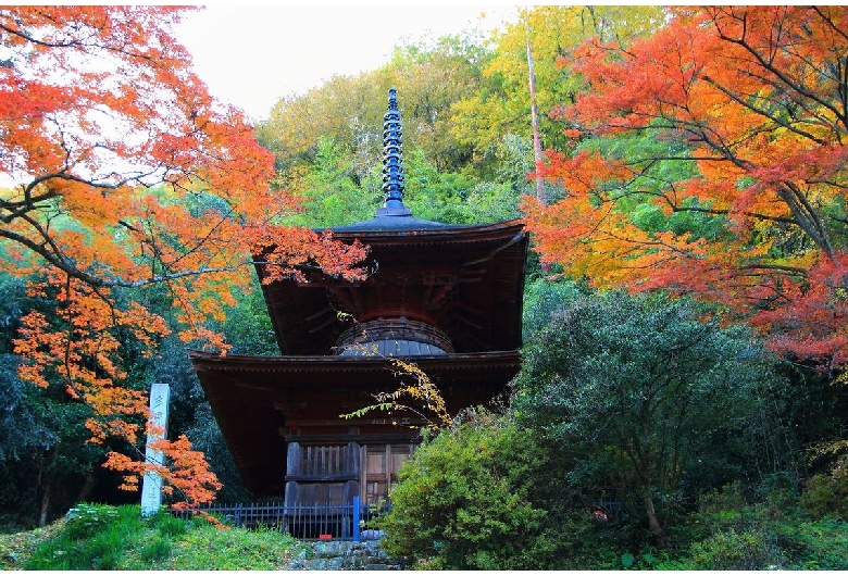 金鑽神社