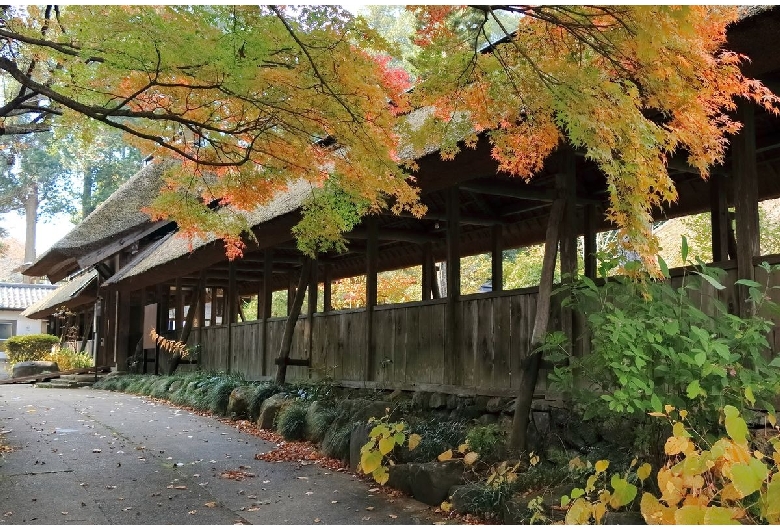 大雄寺