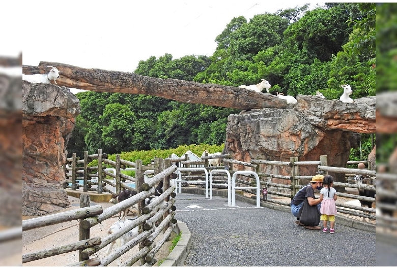 到津の森公園