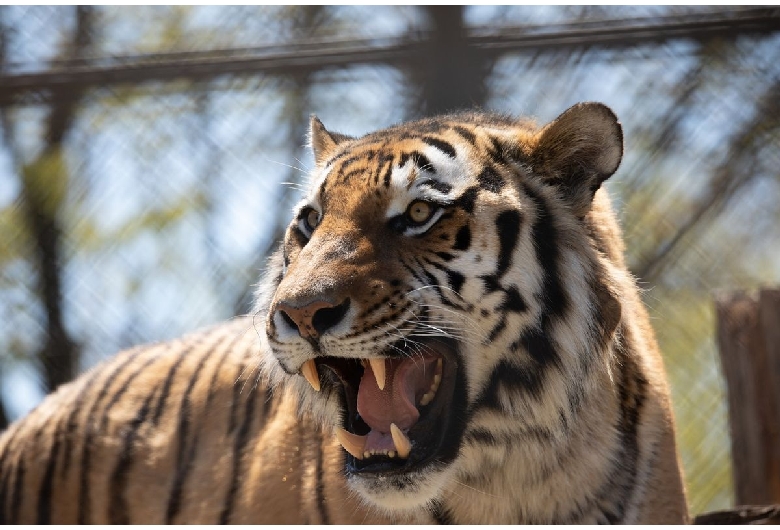 秋田市大森山動物園