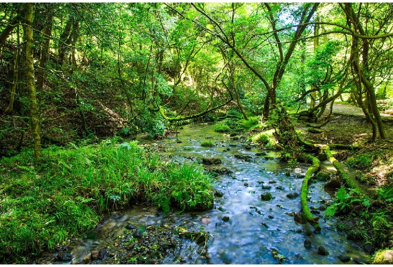 山吹水源