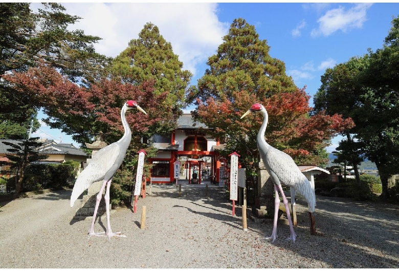 箱崎八幡宮