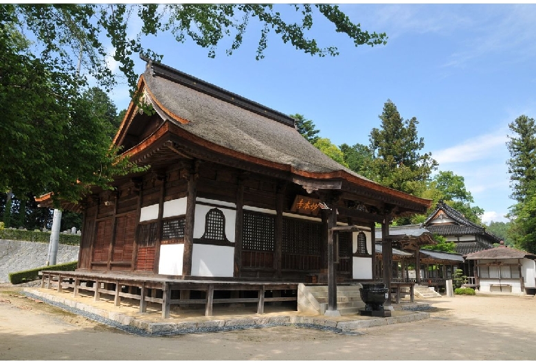 妙本寺