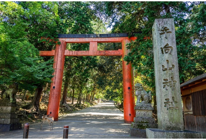 手向山神社