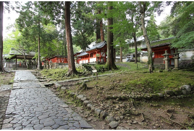 手向山神社