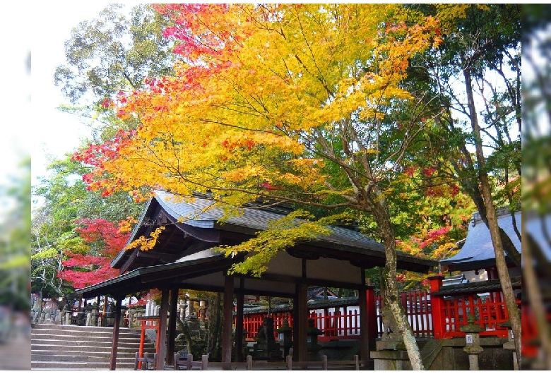 手向山神社