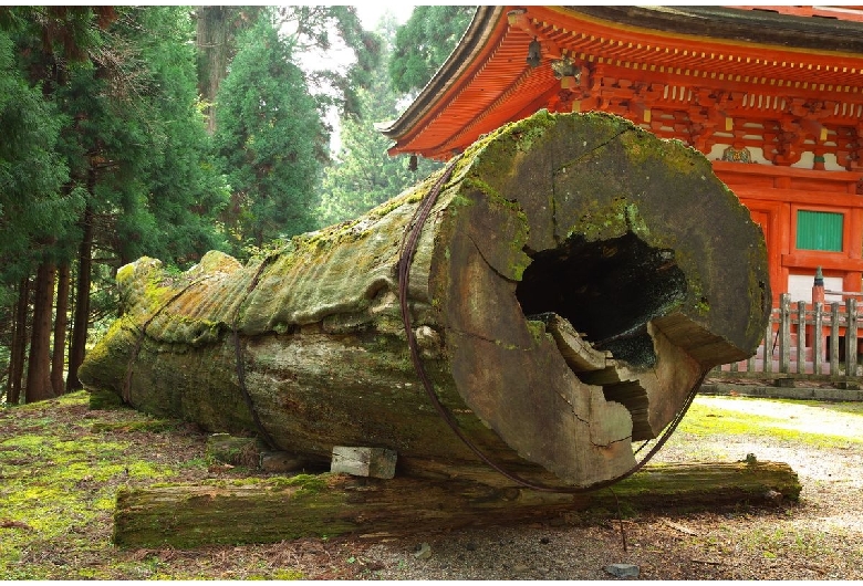 名草神社