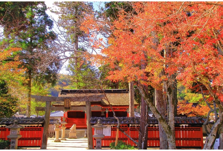 多田神社