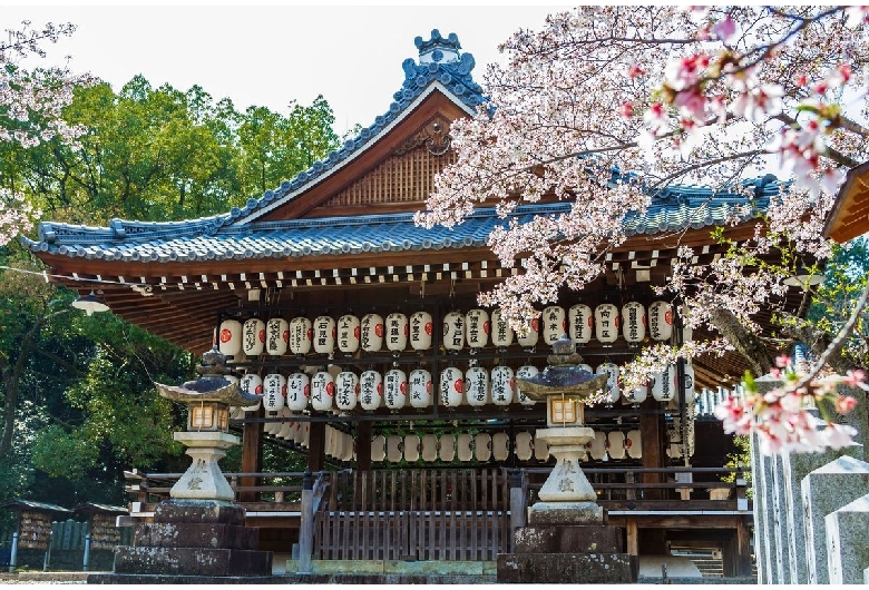 向日神社