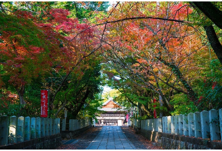 向日神社