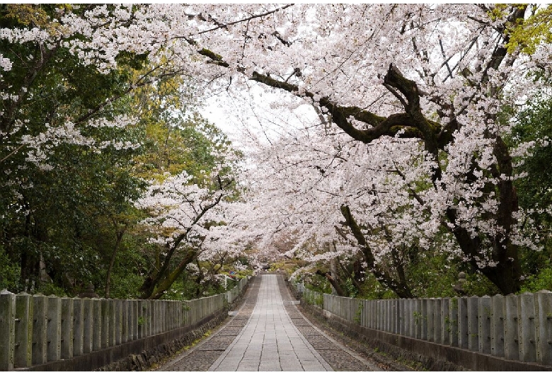 向日神社