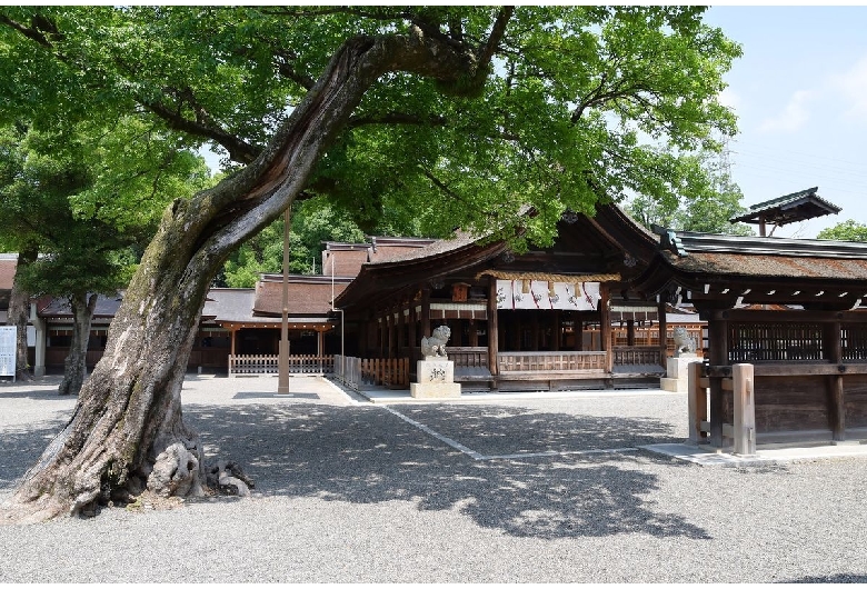 尾張大国霊神社（稲沢国府神社）