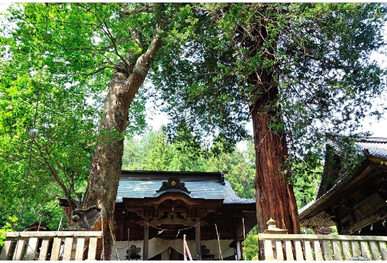 新海三社神社