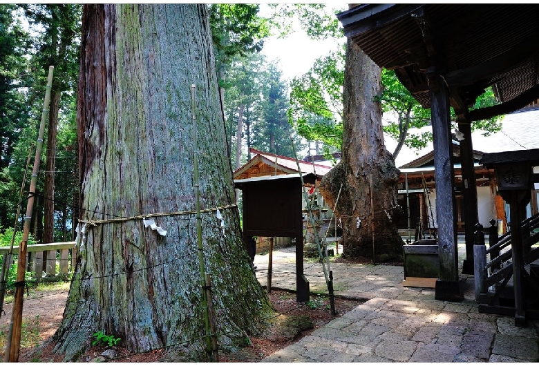 新海三社神社