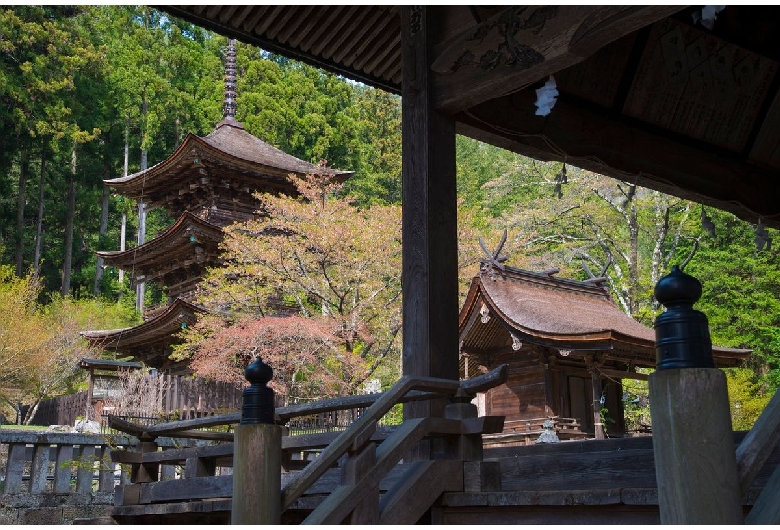 新海三社神社