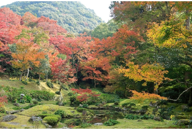 清水寺