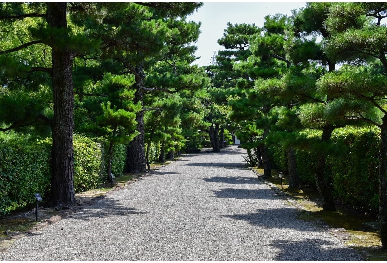 琴ノ浦 温山荘園