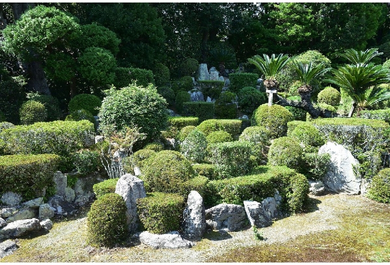 医王寺