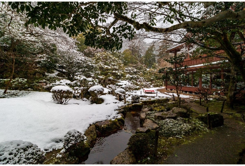 旧竹林院