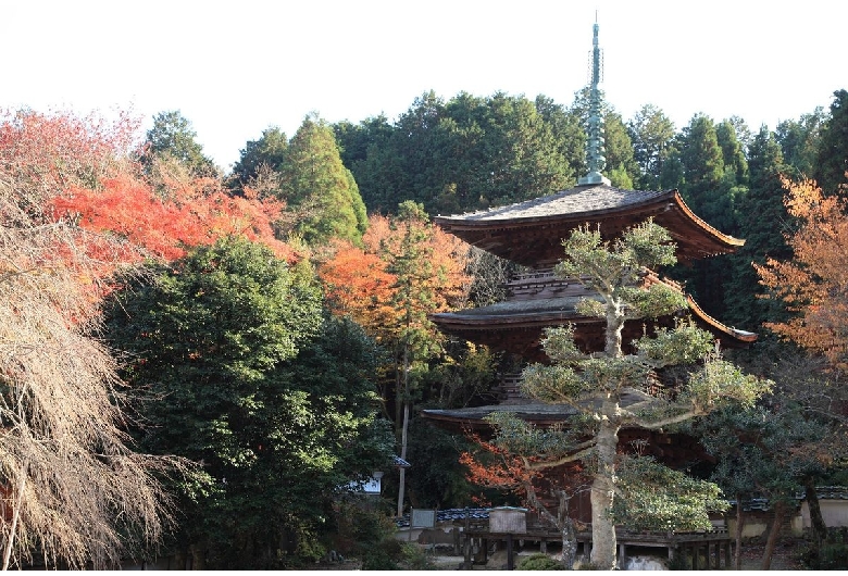 清瀧寺徳源院