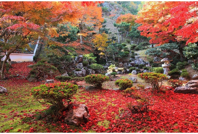 清瀧寺徳源院