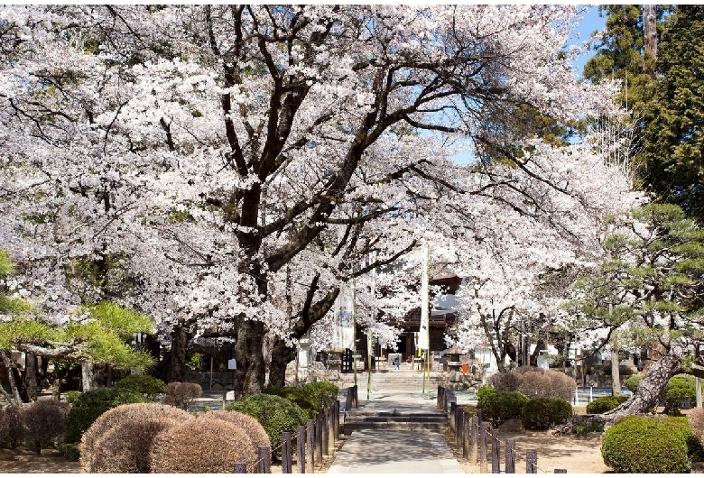 恵林寺