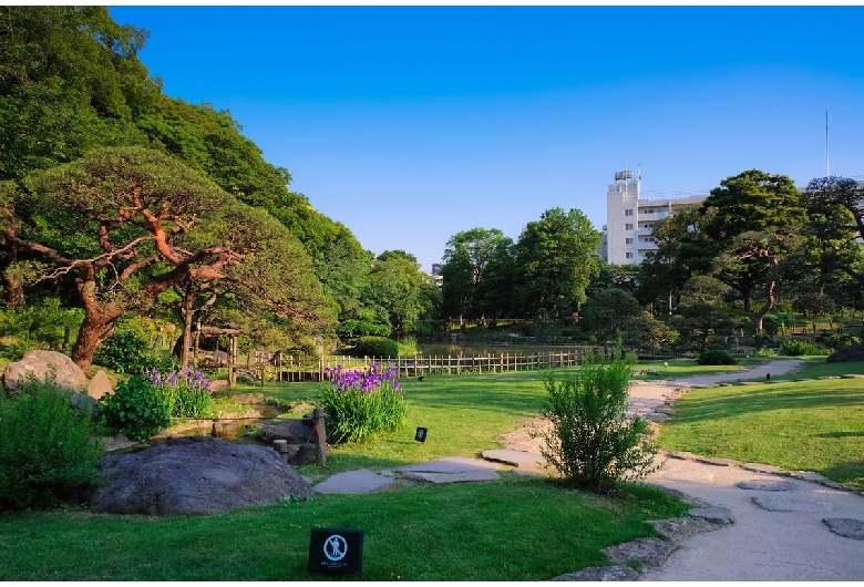 肥後細川庭園（新江戸川公園）