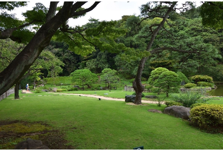 肥後細川庭園（新江戸川公園）