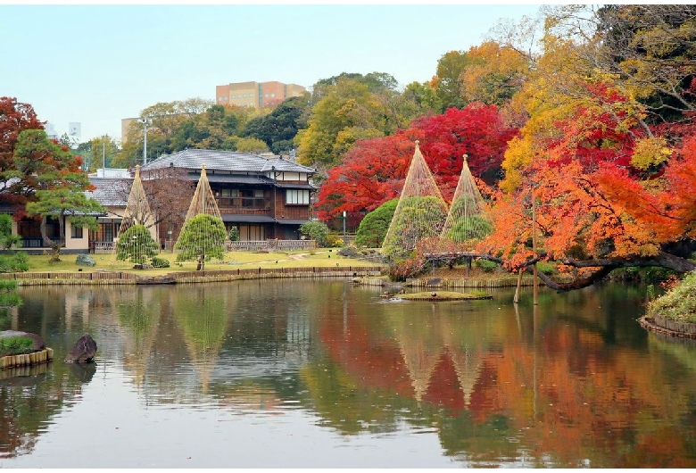 肥後細川庭園（新江戸川公園）