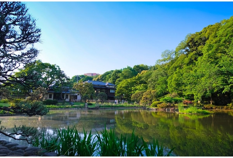 肥後細川庭園（新江戸川公園）