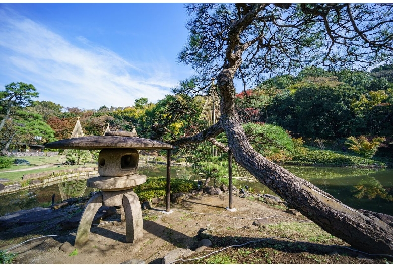 肥後細川庭園（新江戸川公園）