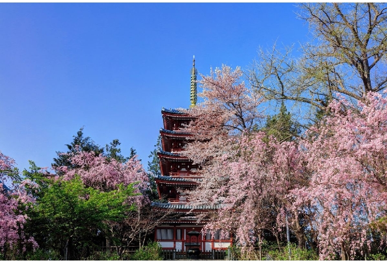 本土寺