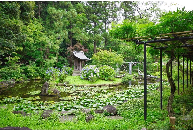 本土寺