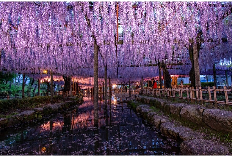 天王川公園