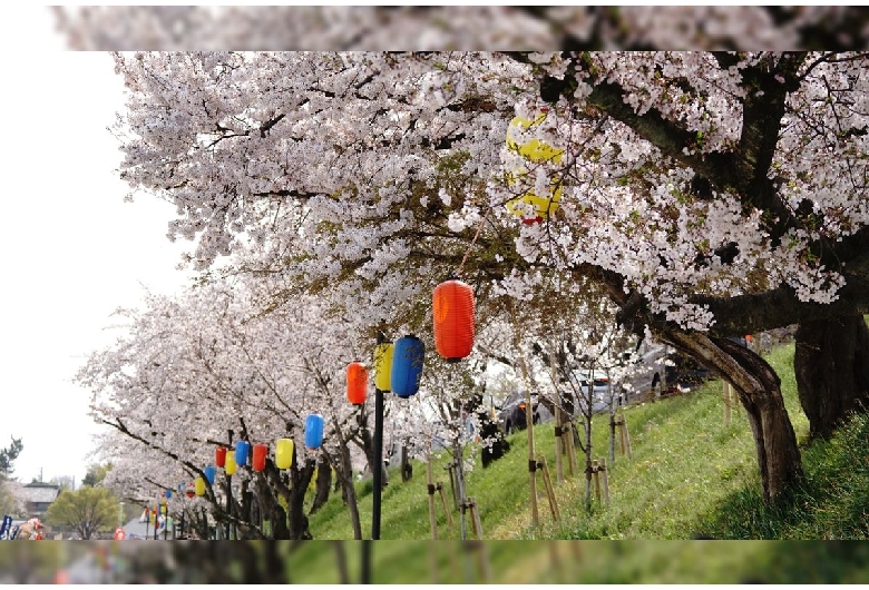 天王川公園