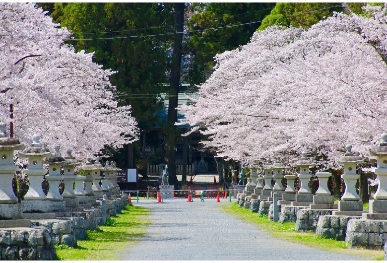 相馬中村神社