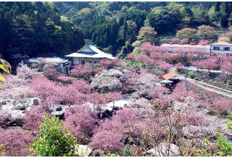 一心寺