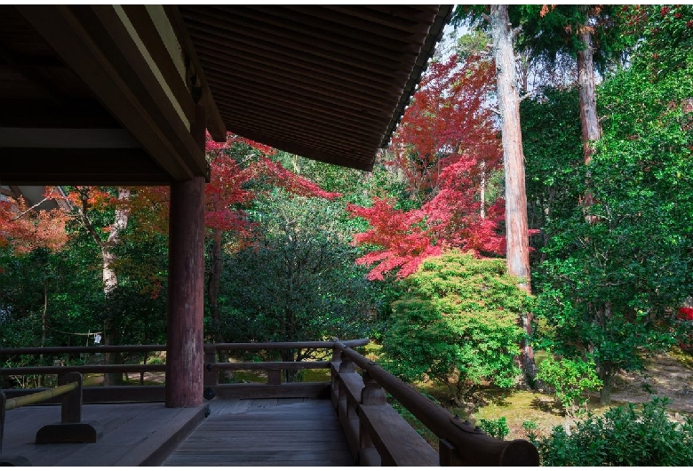 法金剛院