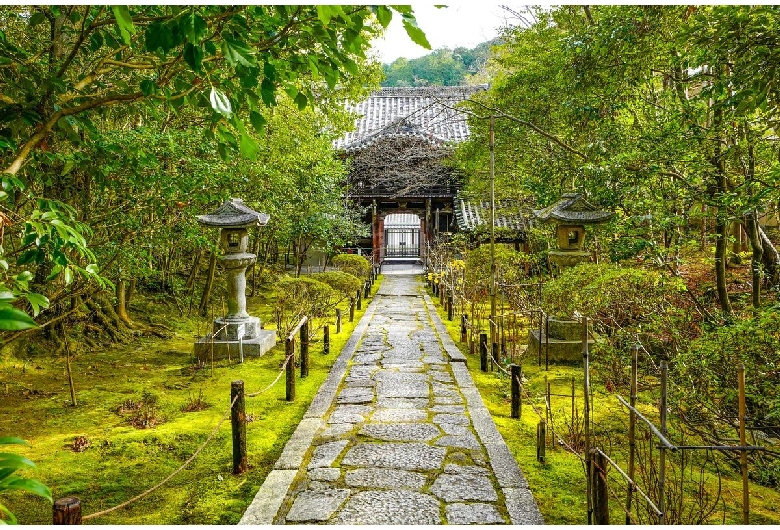 金地院庭園（鶴亀庭園）