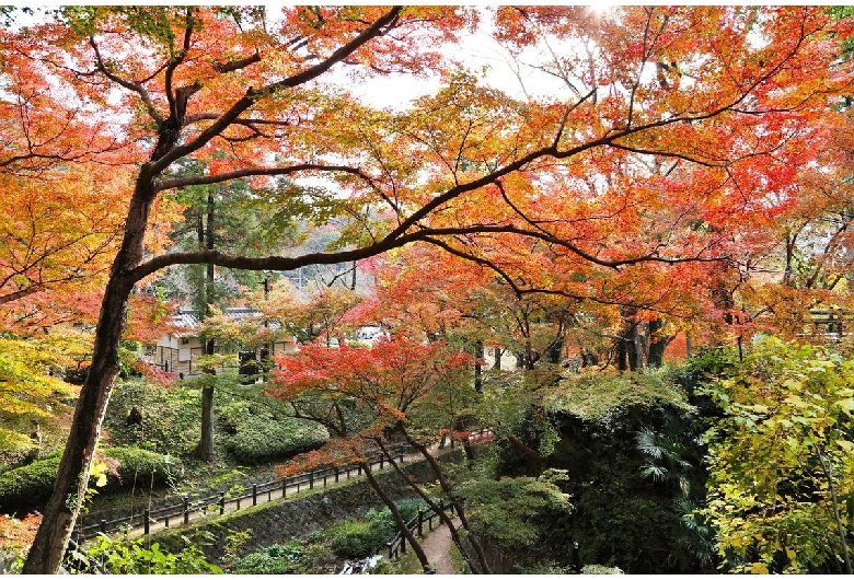 根来寺