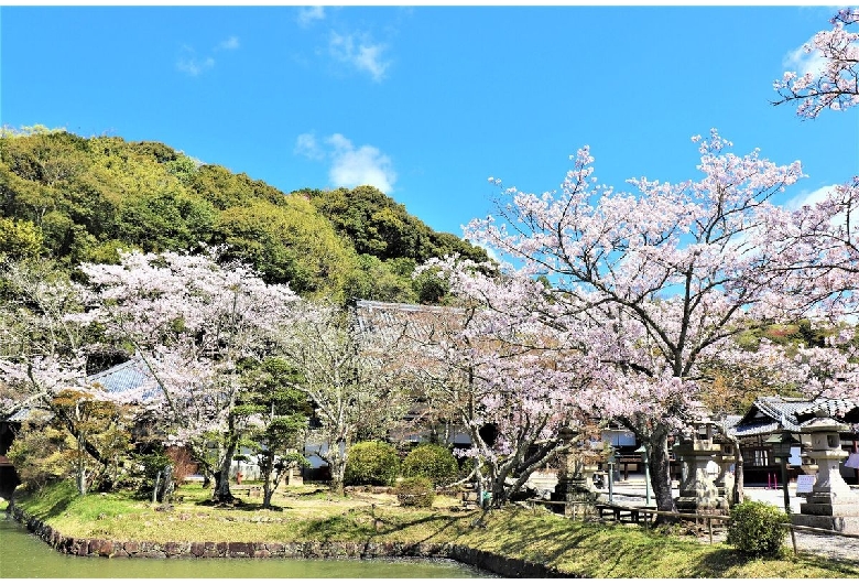 根来寺