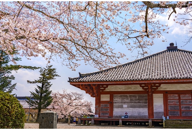 浄土寺