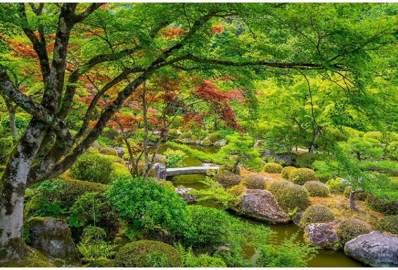 三室戸寺