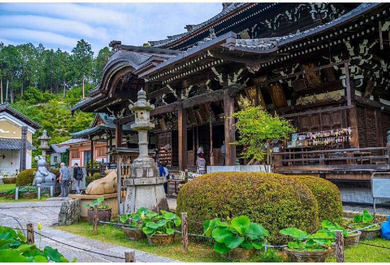 三室戸寺