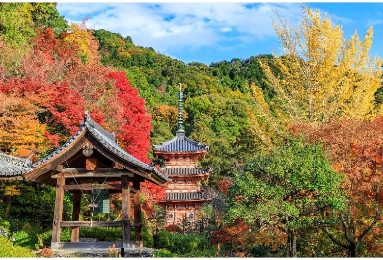 三室戸寺