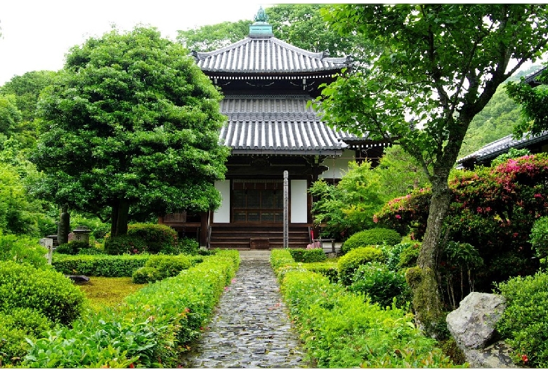 京都法然院歳時記 京都法然院歳時記 アート・デザイン・音楽
