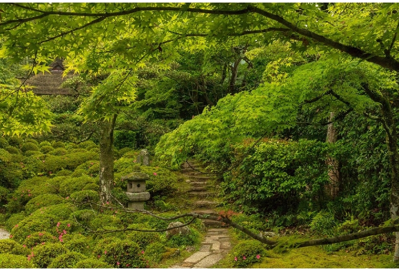 金福寺