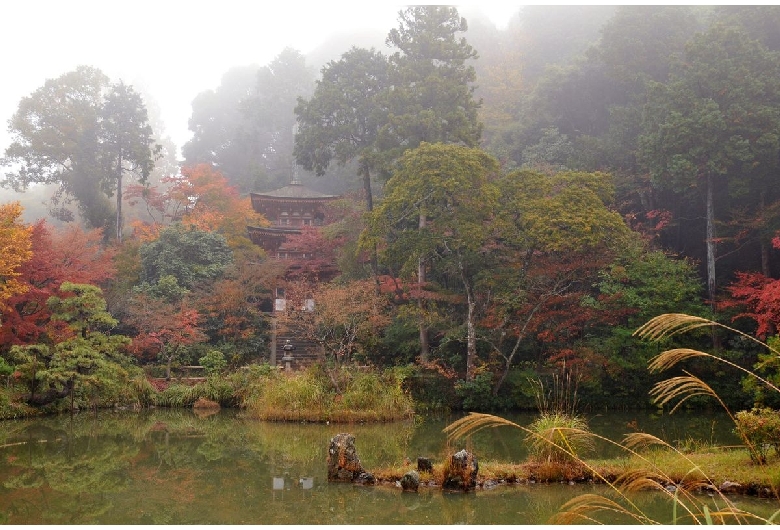 浄瑠璃寺