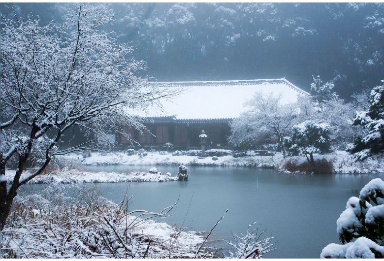 浄瑠璃寺