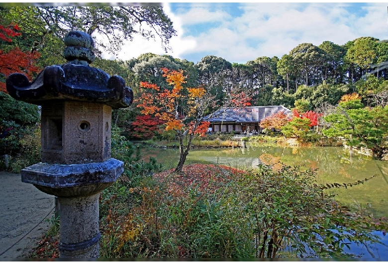 浄瑠璃寺